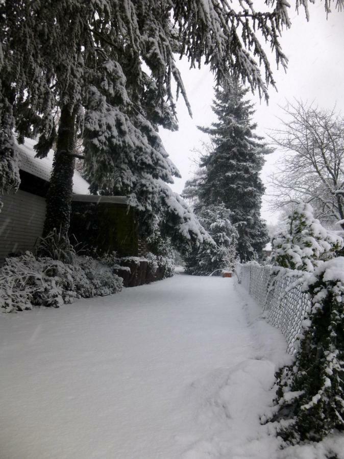 Ferienwohnung Heeserberg ซานเทน ภายนอก รูปภาพ